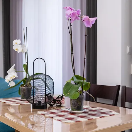 1-bedroom With Free Private Parking Plovdiv